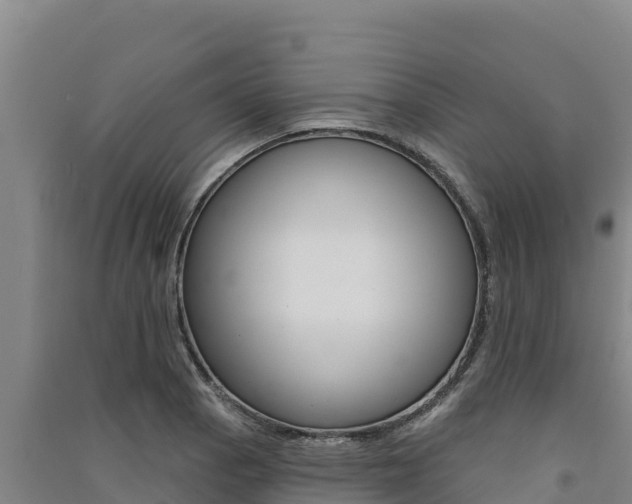 X0000091561129200708171056