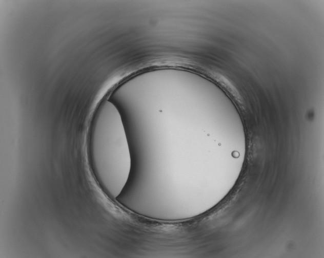 X0000091561130200708171056