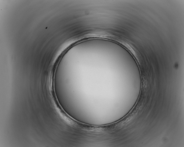 X0000091561131200708171056
