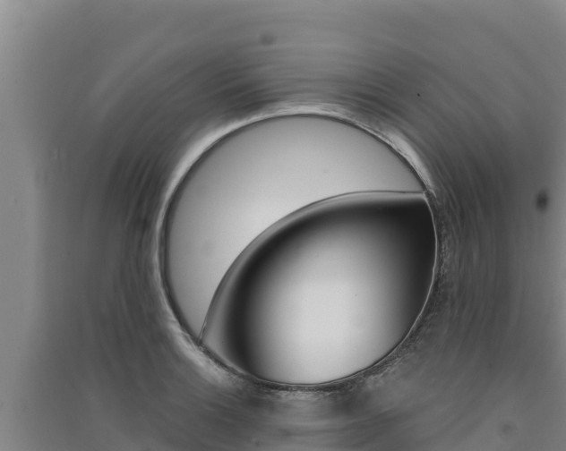 X0000091561132200708171056
