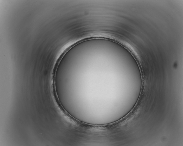 X0000091561133200708171056