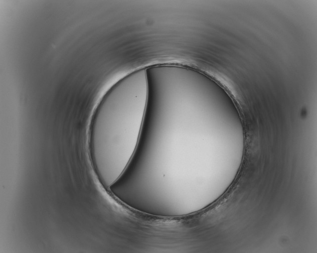 X0000091561135200708171056