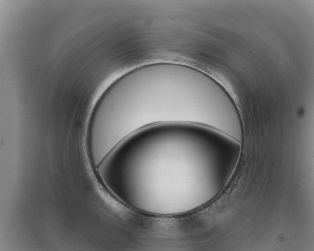 X0000091561136200708171056