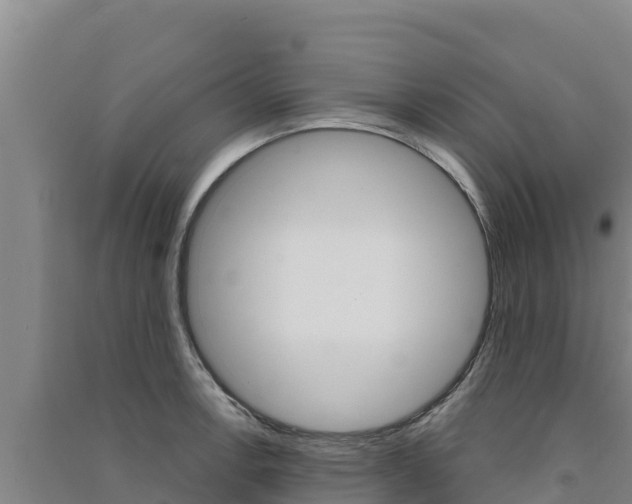 X0000091561138200708171056