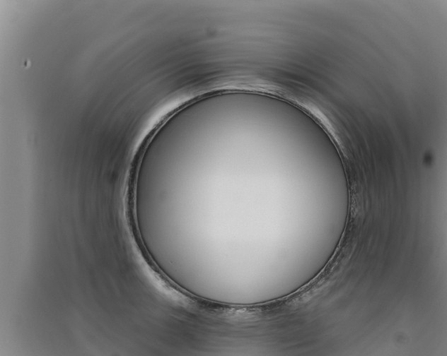X0000091561139200708171056