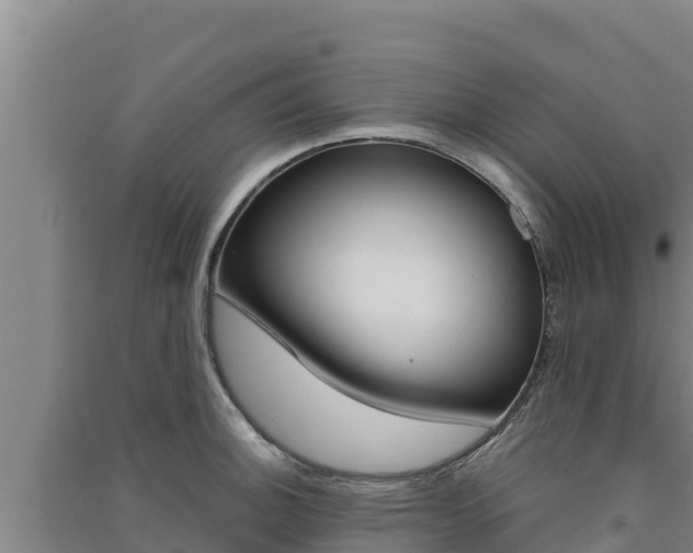 X0000091561140200708171056