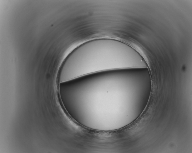 X0000091561141200708171056