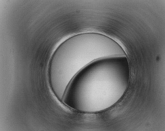 X0000091561142200708171056
