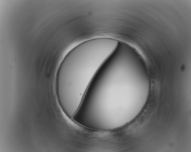 X0000091561143200708171056