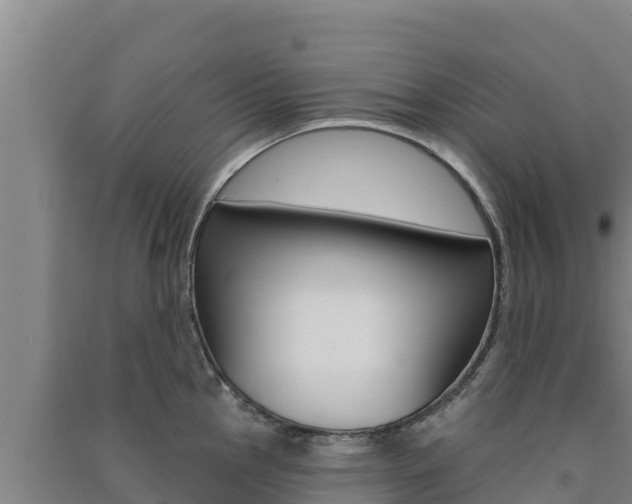 X0000091561145200708171056