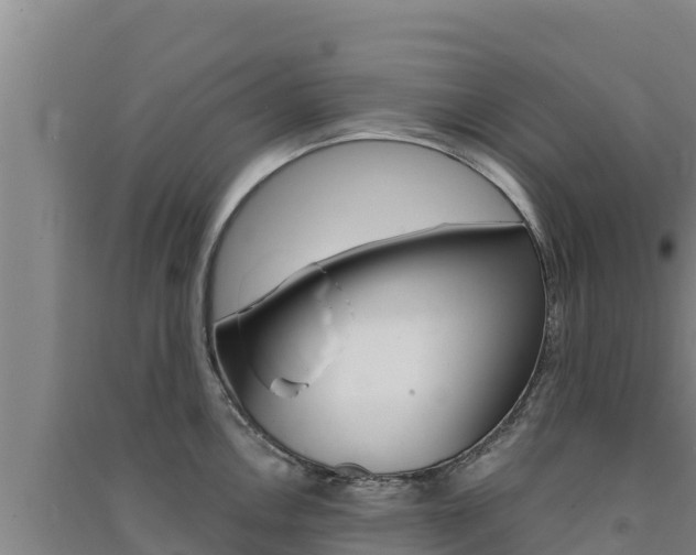 X0000091561146200708171056