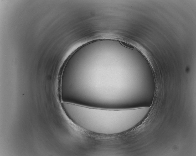 X0000091561147200708171056