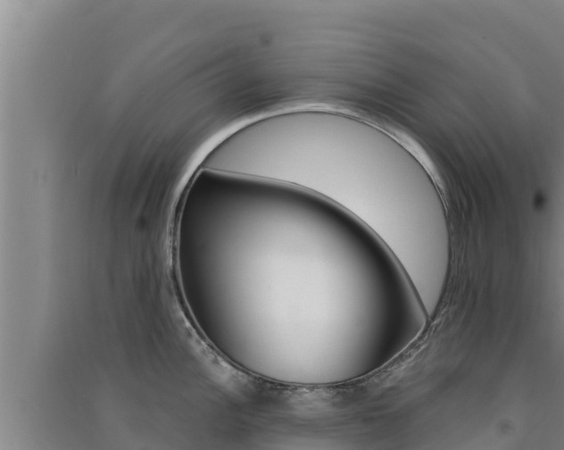 X0000091561148200708171056