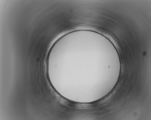 X0000091561150200708171056