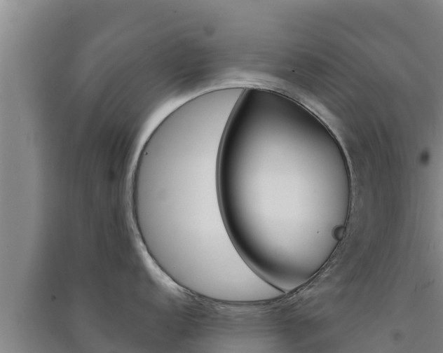 X0000091561152200708171056