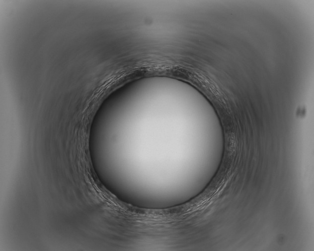 X0000091561153200708171055