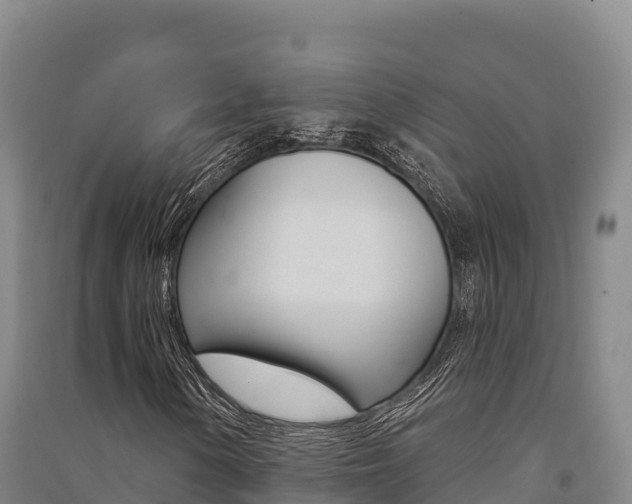 X0000091561154200708171055