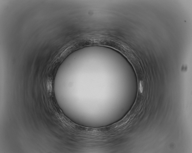 X0000091561155200708171055