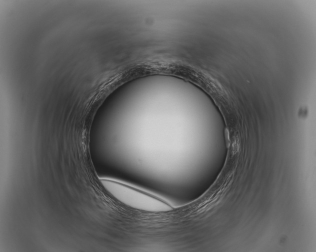 X0000091561156200708171055
