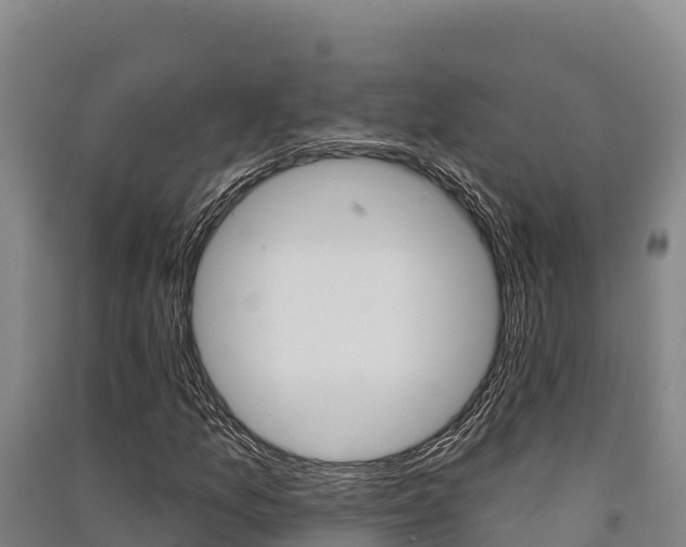 X0000091561157200708171055