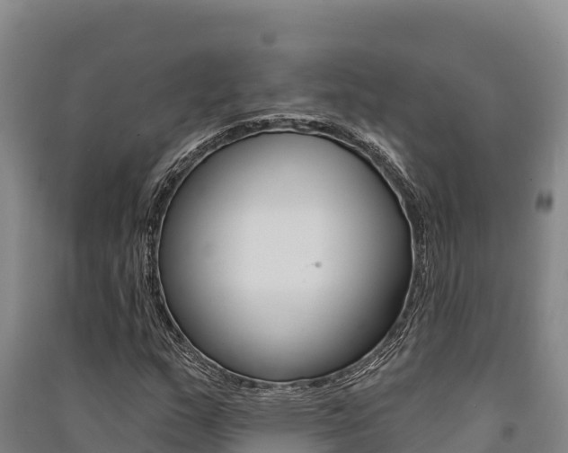 X0000091561159200708171055