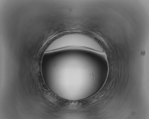 X0000091561160200708171055