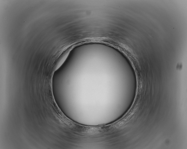 X0000091561161200708171055