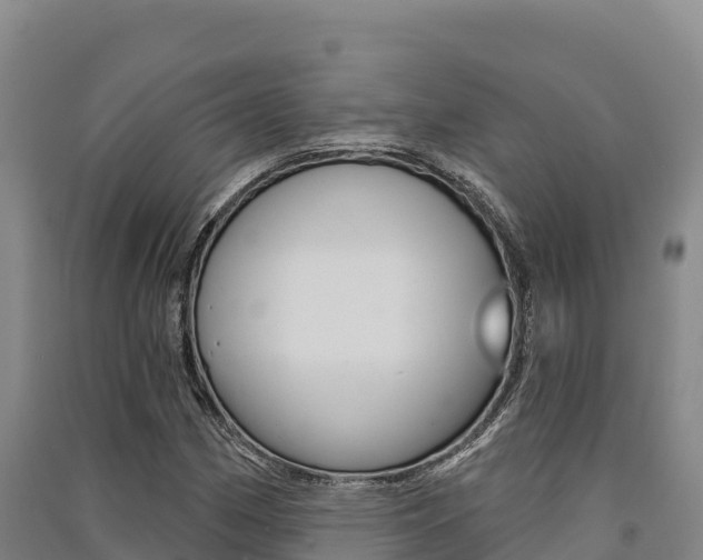 X0000091561162200708171055