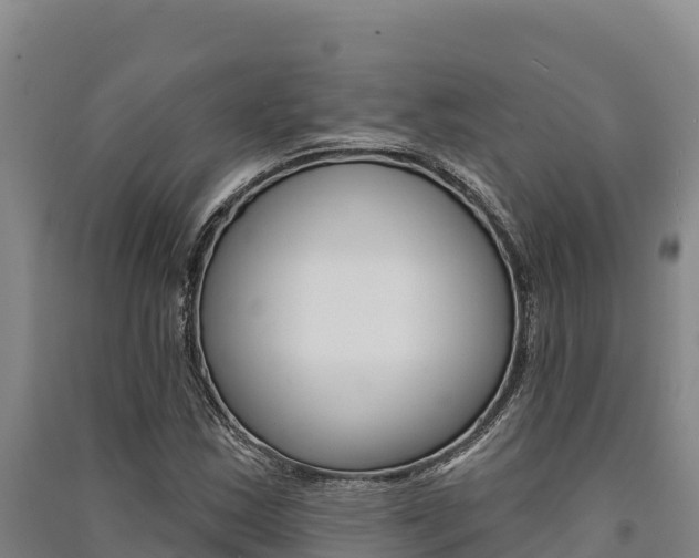 X0000091561163200708171055