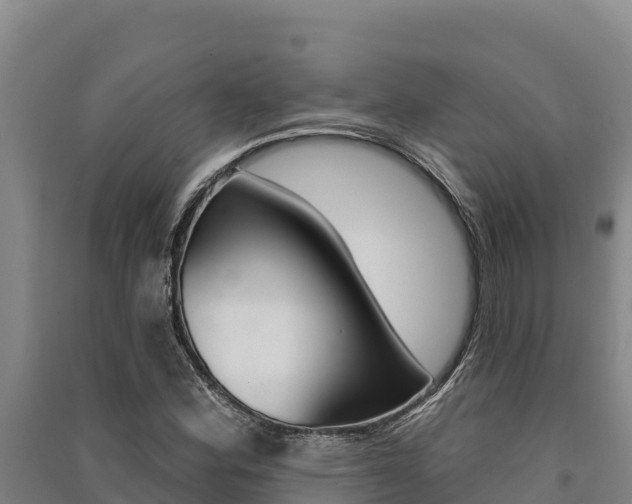 X0000091561164200708171055
