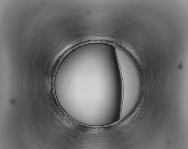 X0000091561165200708171055