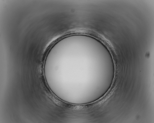 X0000091561166200708171055