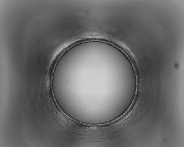 X0000091561167200708171055