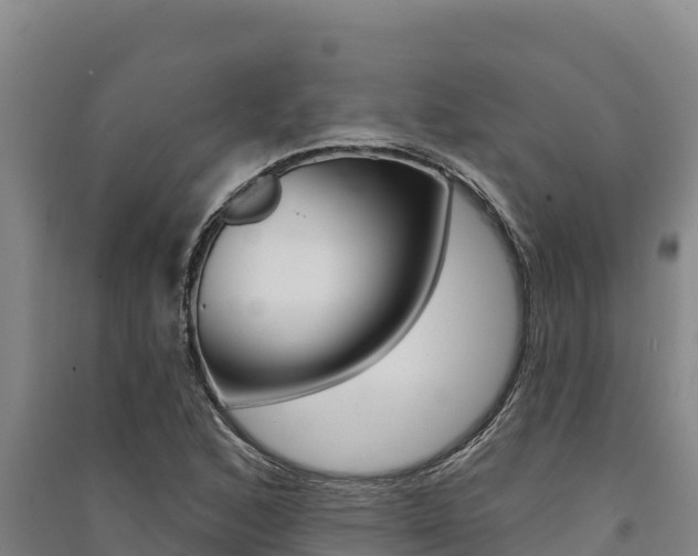 X0000091561168200708171055