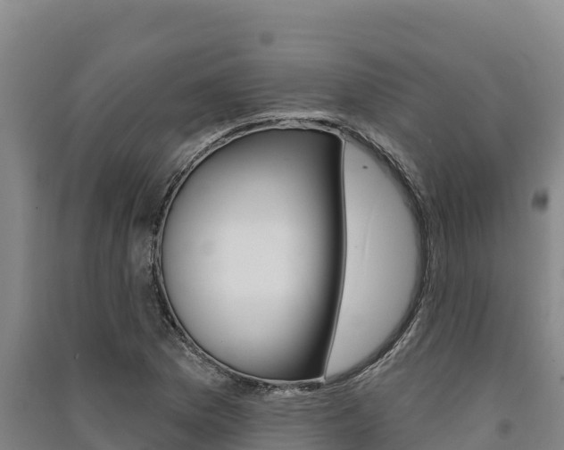 X0000091561169200708171055
