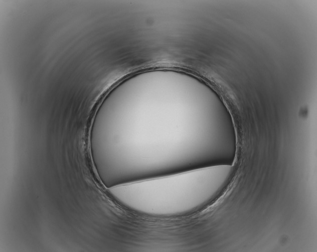 X0000091561170200708171055