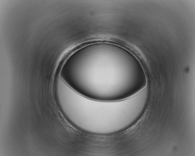 X0000091561172200708171055