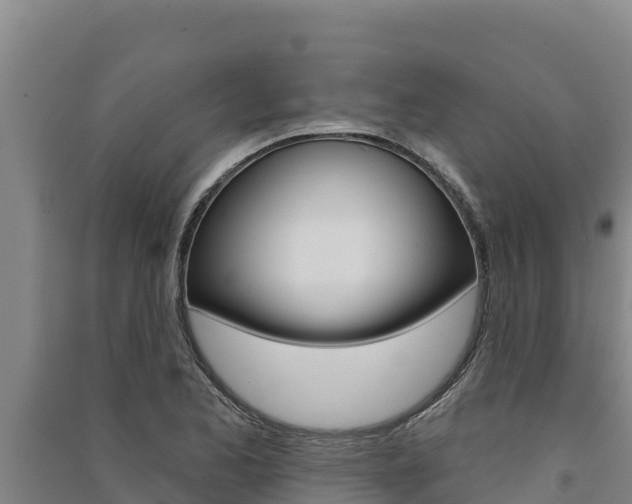 X0000091561173200708171055