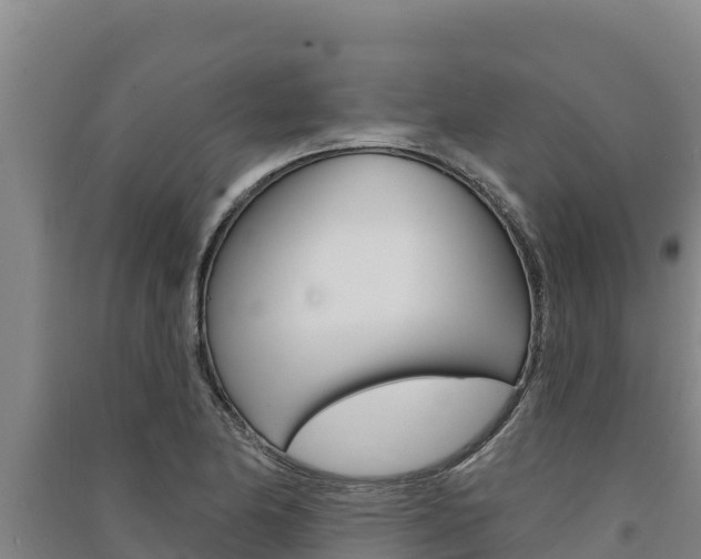 X0000091561174200708171055