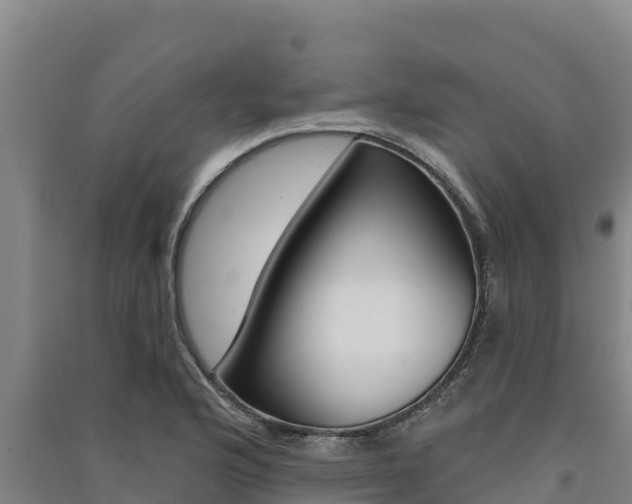 X0000091561176200708171055