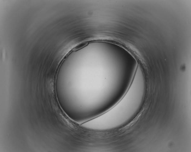 X0000091561177200708171055