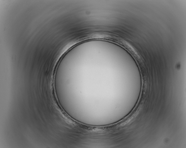 X0000091561178200708171055