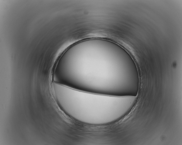 X0000091561179200708171055