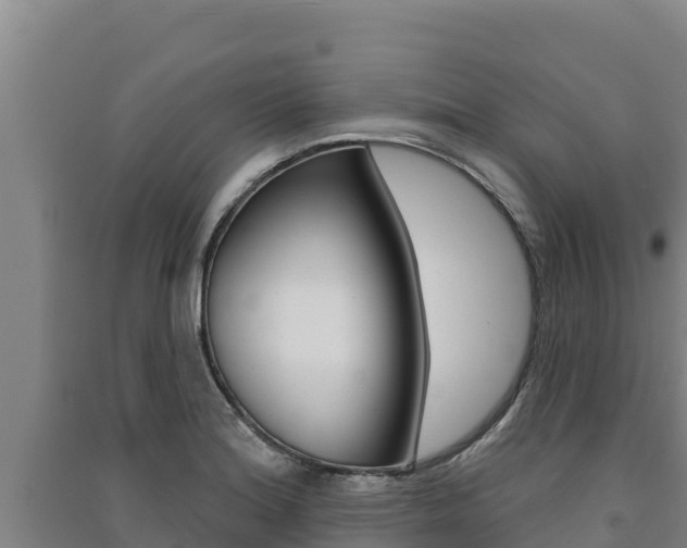 X0000091561180200708171055