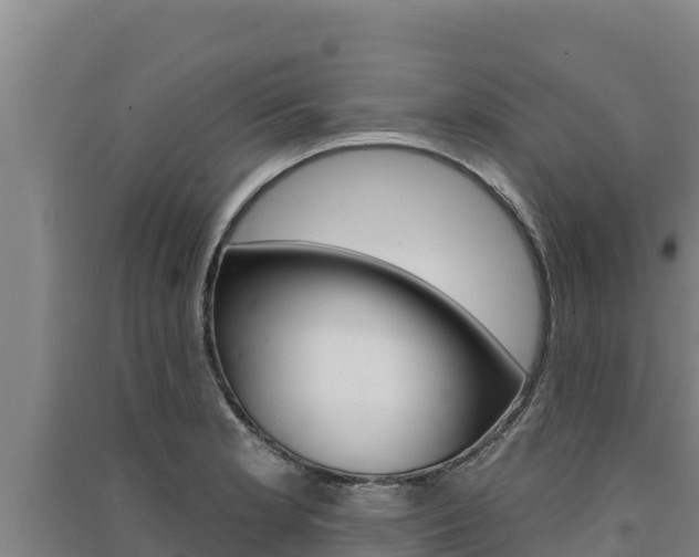 X0000091561181200708171055