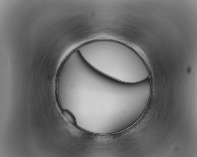 X0000091561183200708171055