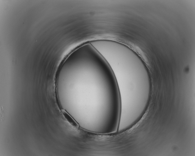 X0000091561184200708171055