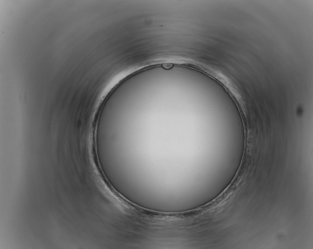 X0000091561187200708171055