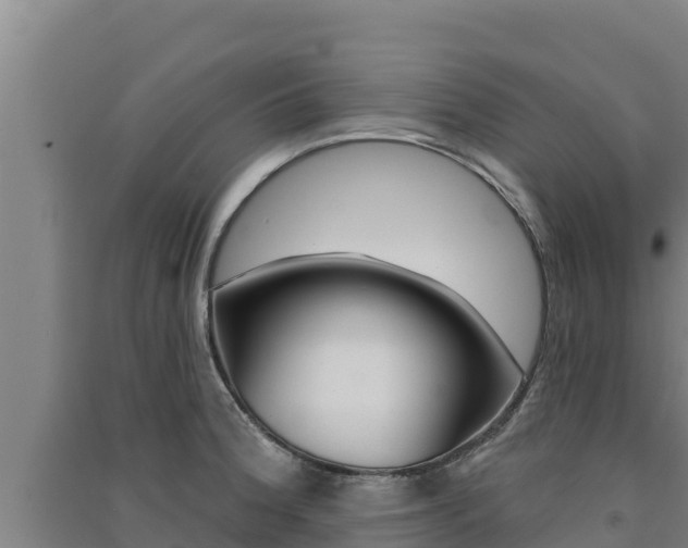 X0000091561188200708171055