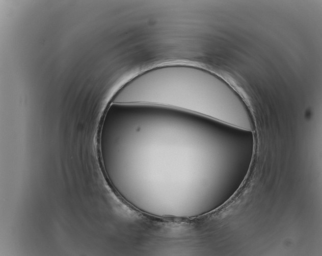 X0000091561189200708171055